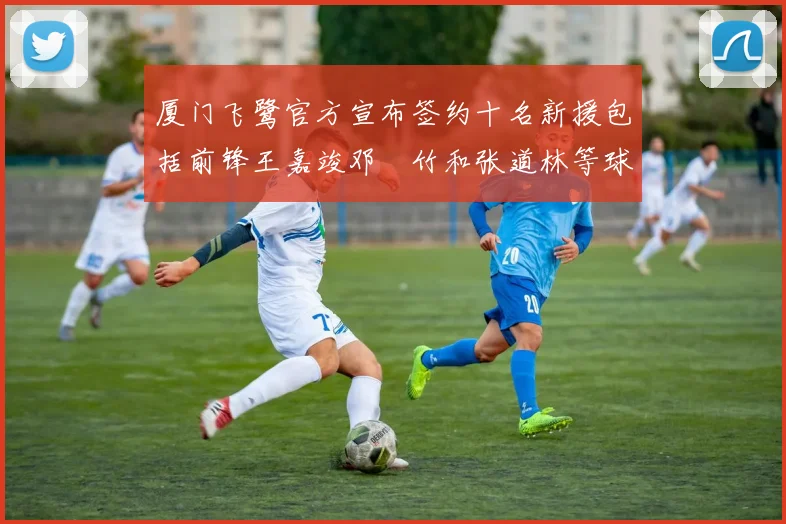 厦门飞鹭官方宣布签约十名新援包括前锋王嘉竣邓棽竹和张道林等球员