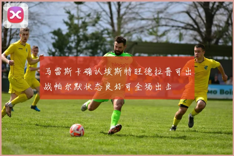 马雷斯卡确认埃斯特旺德拉普可出战帕尔默状态良好可全场出击